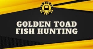 golden-toad-fish-hunting